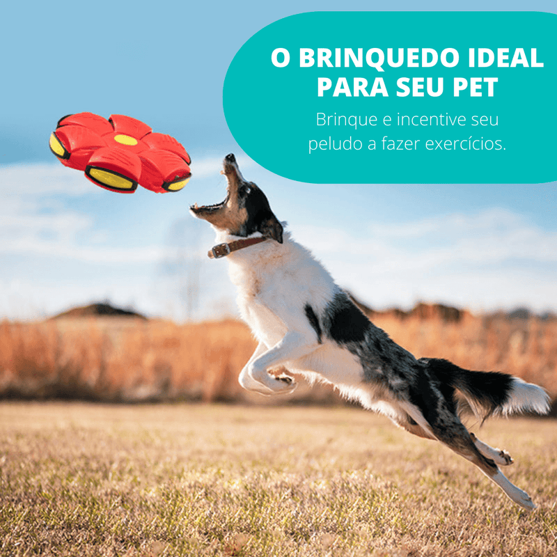 [COMPRE 1 LEVE 2] PetBall® Bola Voadora para Cães